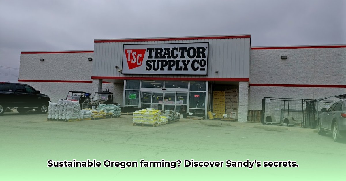 sandy-tractor-supply